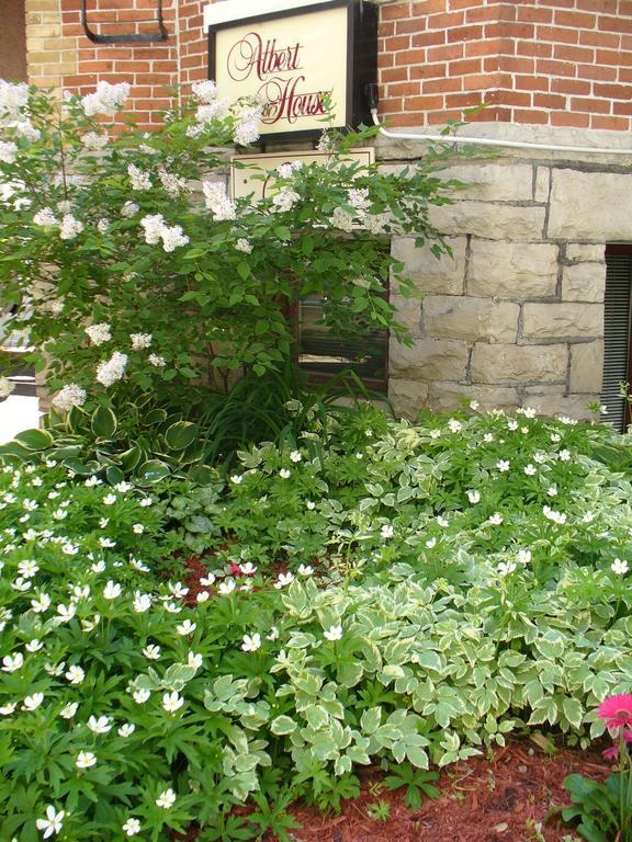 أوتاوا Albert House Inn المظهر الخارجي الصورة
